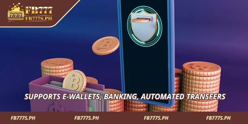 Supports e-wallets, banking, automated transfers